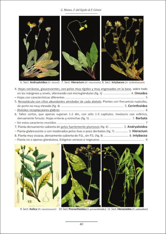 nueva revisin sinttica de los gneros hieracium y pilosella en espaa