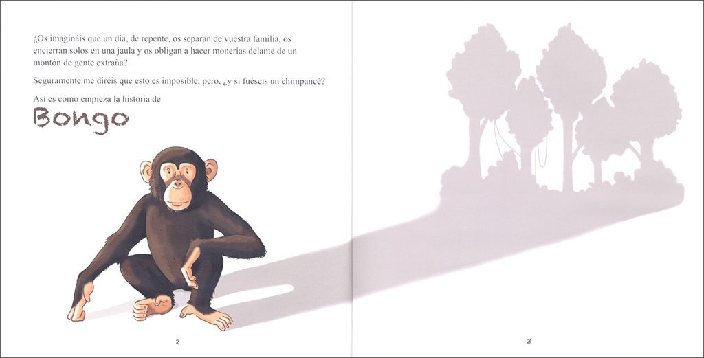 bongo. pequea historia de un chimpanc