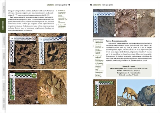 gua visual de huellas y rastros de la fauna de espaa y resto de europa