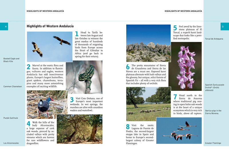 crossbill guide: western andaluca: huelva to mlaga, spain
