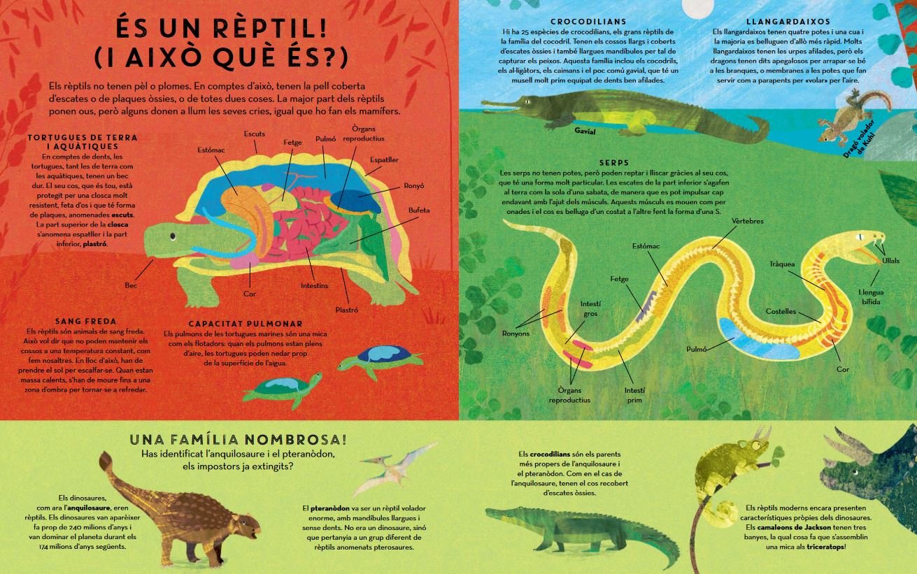 rptils pertot arreu