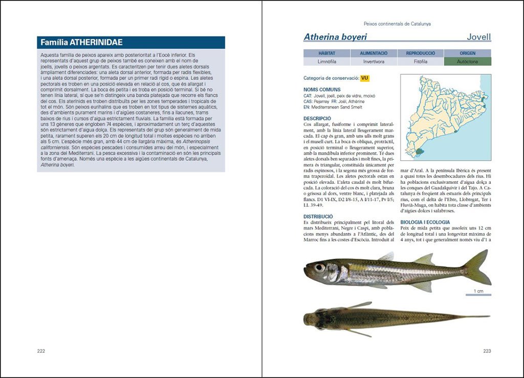 peixos continentals de catalunya. ecologia, conservaci i guia d'identificaci