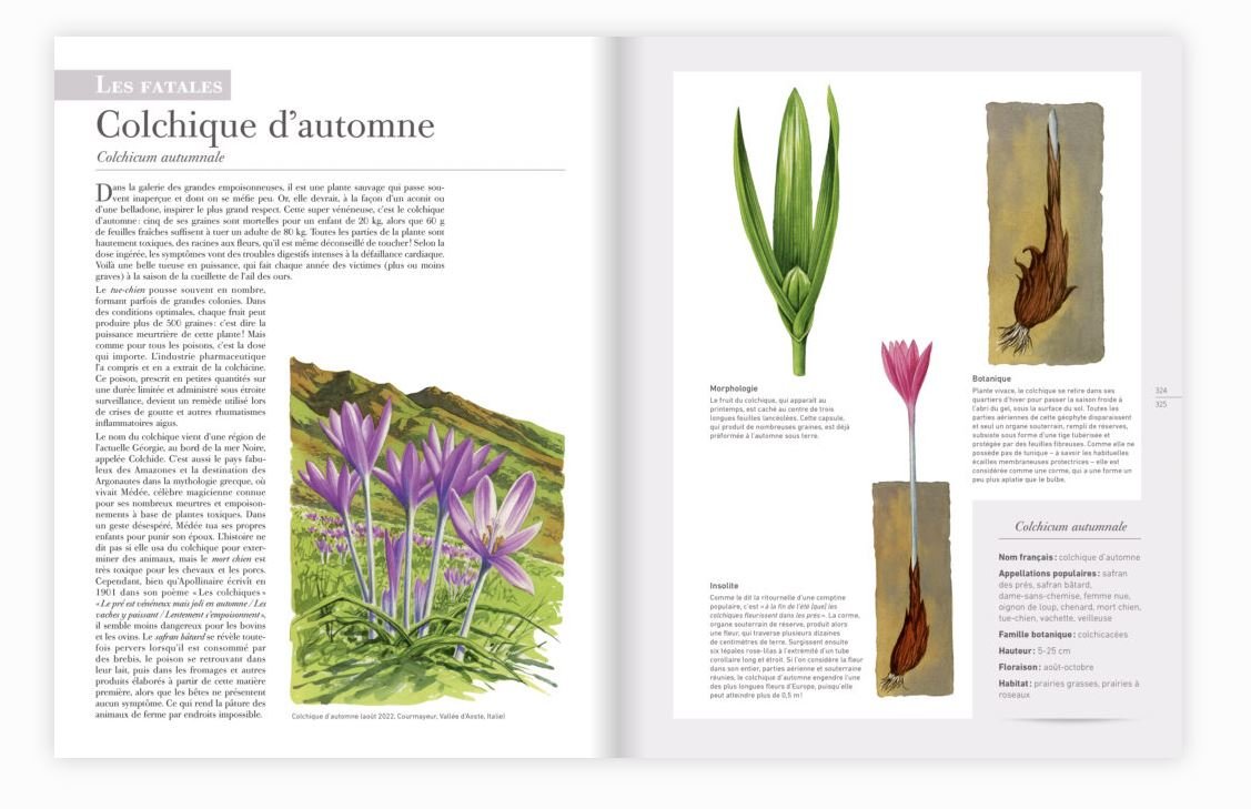 les plantes sauvages. les identifier, les connatre, les utiliser