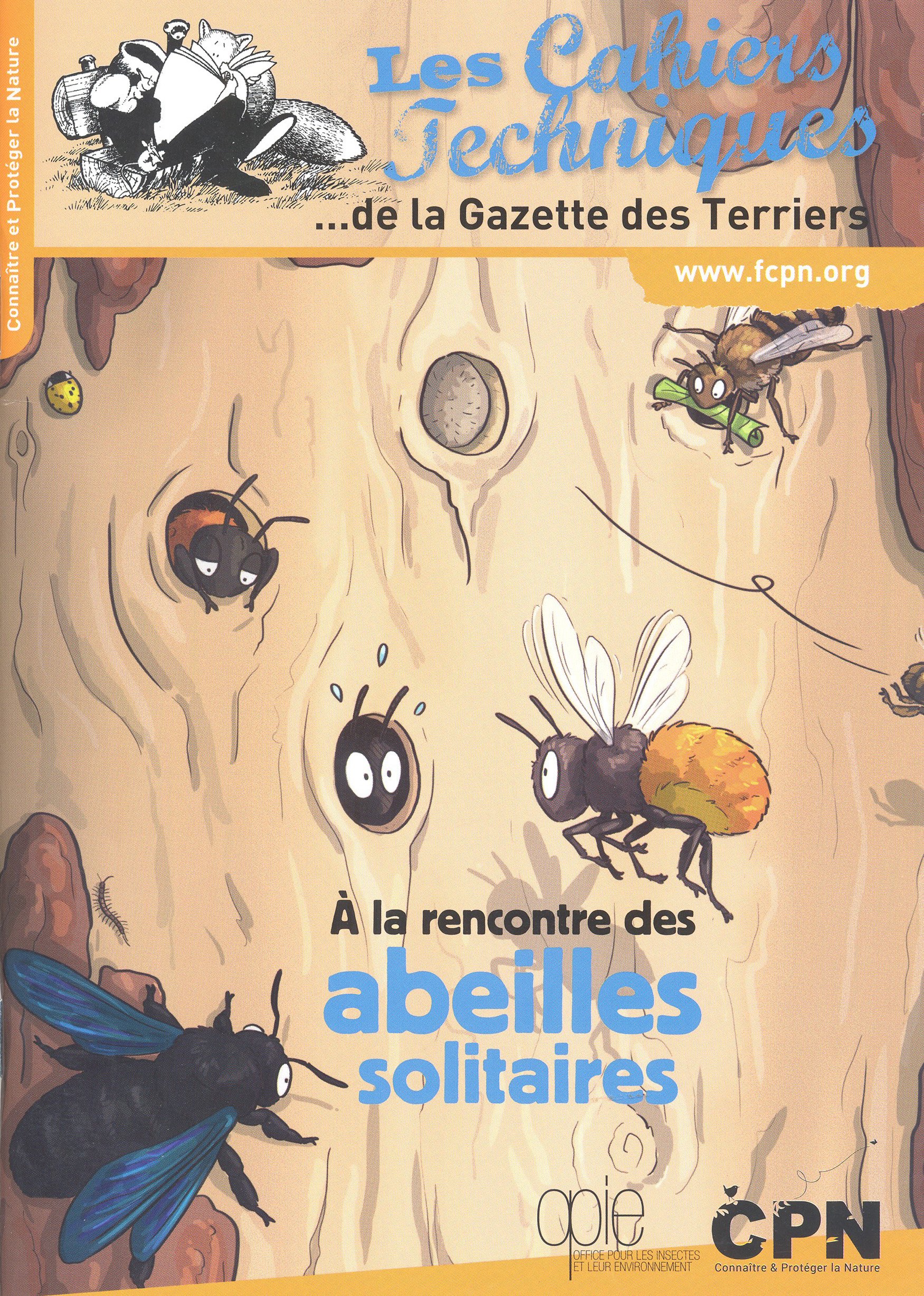  la rencontre des abeilles solitaires