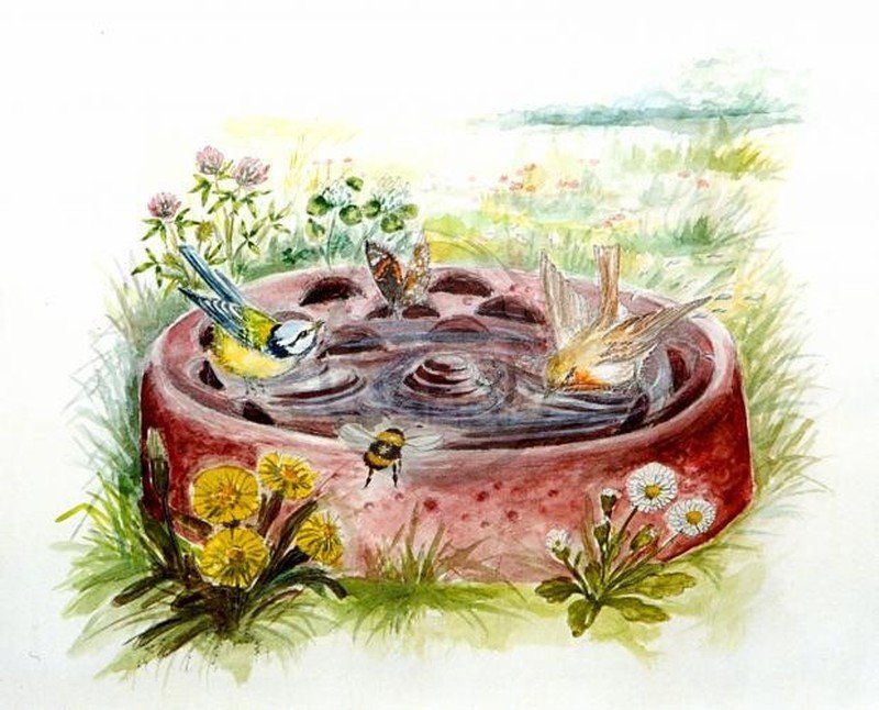bebedero-baera de jardn para aves silvestres