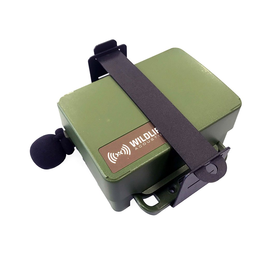 soporte metlico de seguridad especial para song meter sm mini de wildlife acoustics (para grabadoras de primera generacin nicamente)