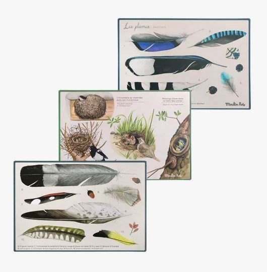 coffret dcouverte des oiseaux (caixa per descobrir els ocells/ caja para descubrir las aves)