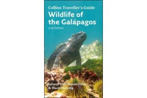 visita y/o viaje centroamrica y sudamrica