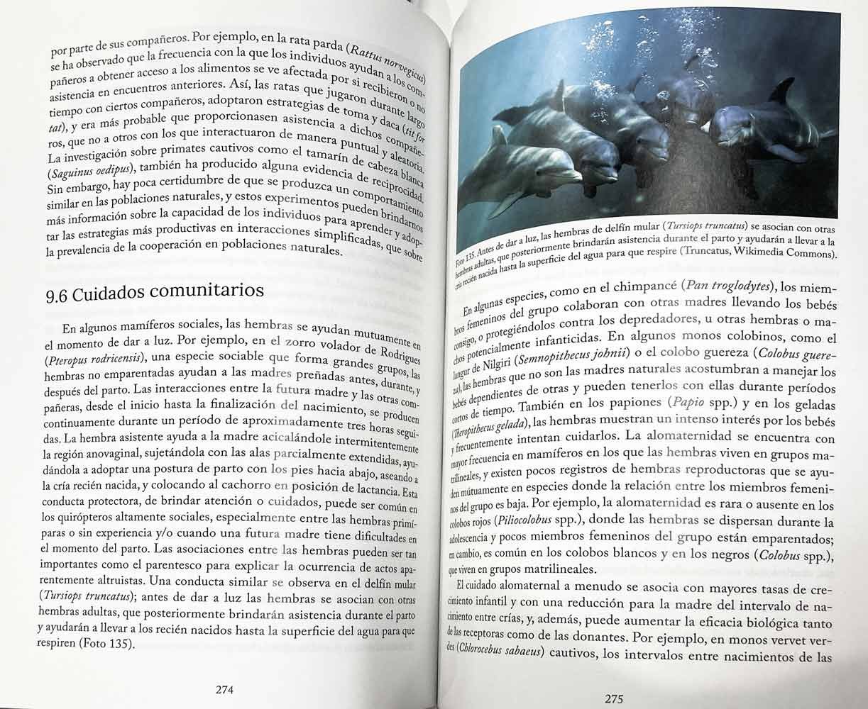comportamiento social de los mamferos