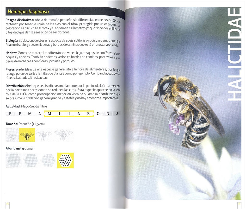 gua de campo de las abejas de espaa
