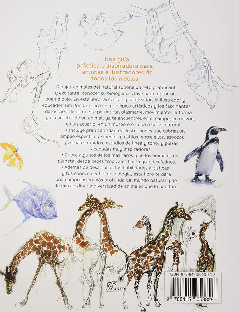 gua de campo para dibujar animales del natural