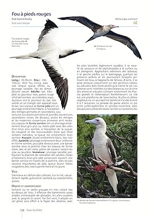 oiseaux de nouvelle-caldonie. grande terre, lles loyaut et archipels loigns