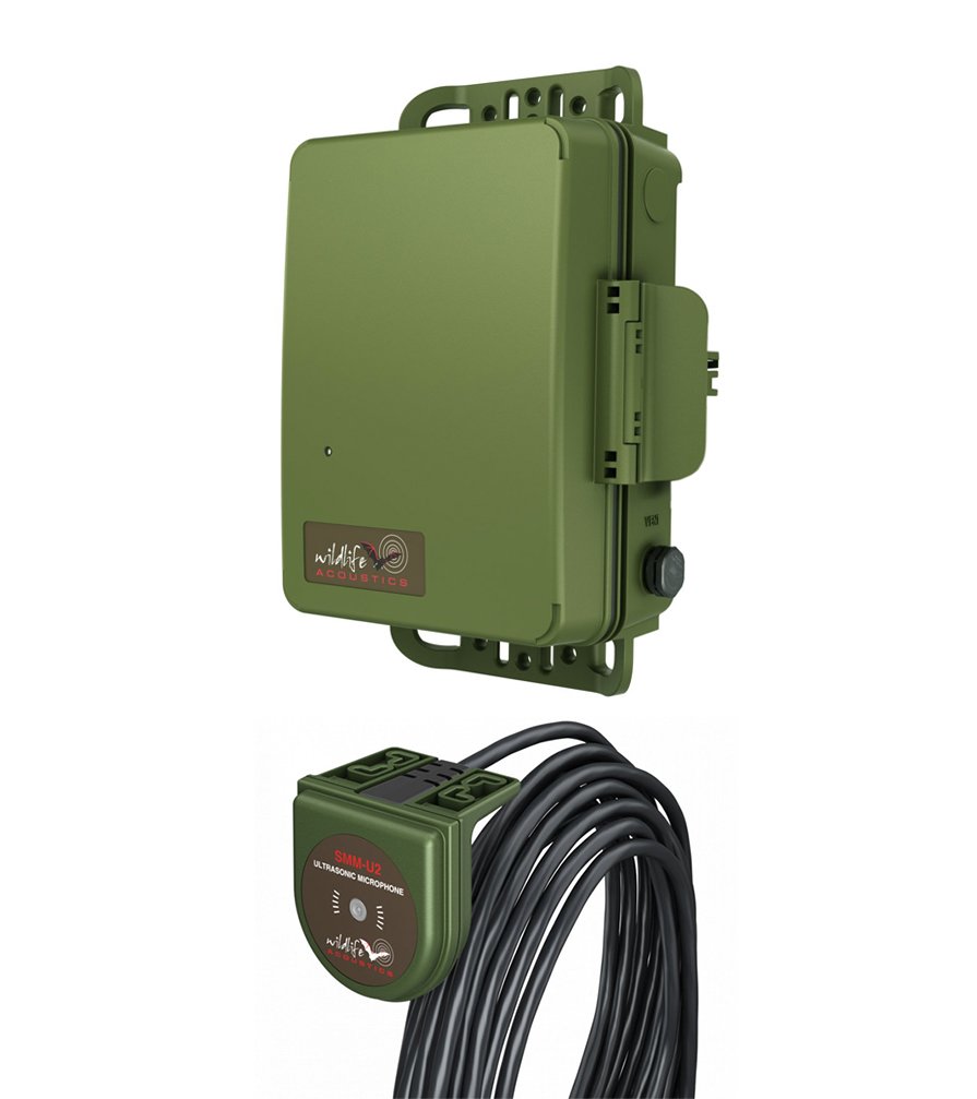 kit oryx grabadora de ultrasonidos pasiva song meter sm4bat fs + micrfono de ultrasonidos smm-u2 con 5 m de cable wildlife acoustics
