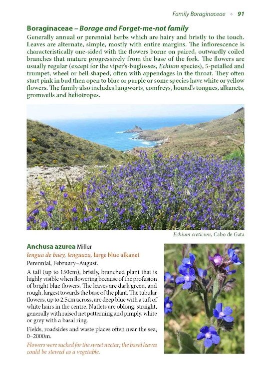 wild flowers of coastal andaluca. a photographic field guide