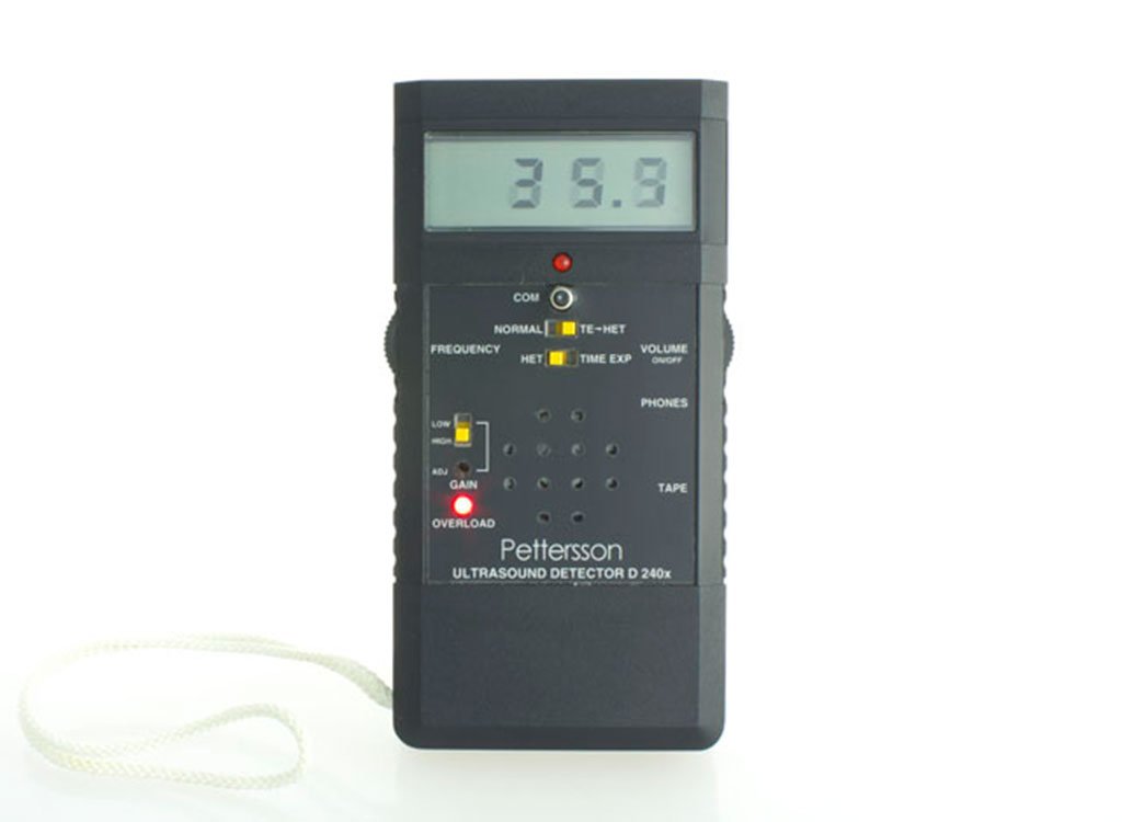 detector de ultrasonidos de murcilago pettersson d240x