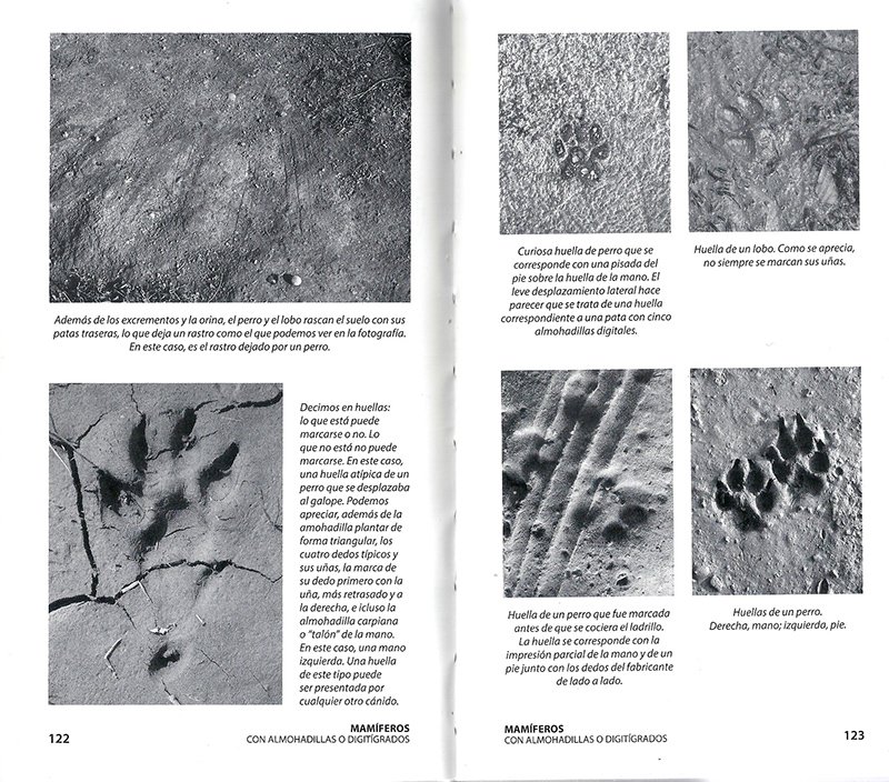 huellas y seales de los animales en la pennsula ibrica y resto de europa