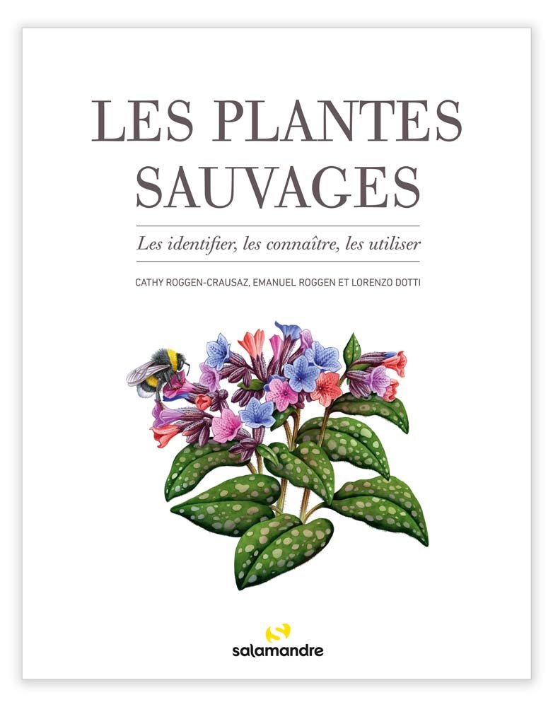 les plantes sauvages. les identifier, les connatre, les utiliser