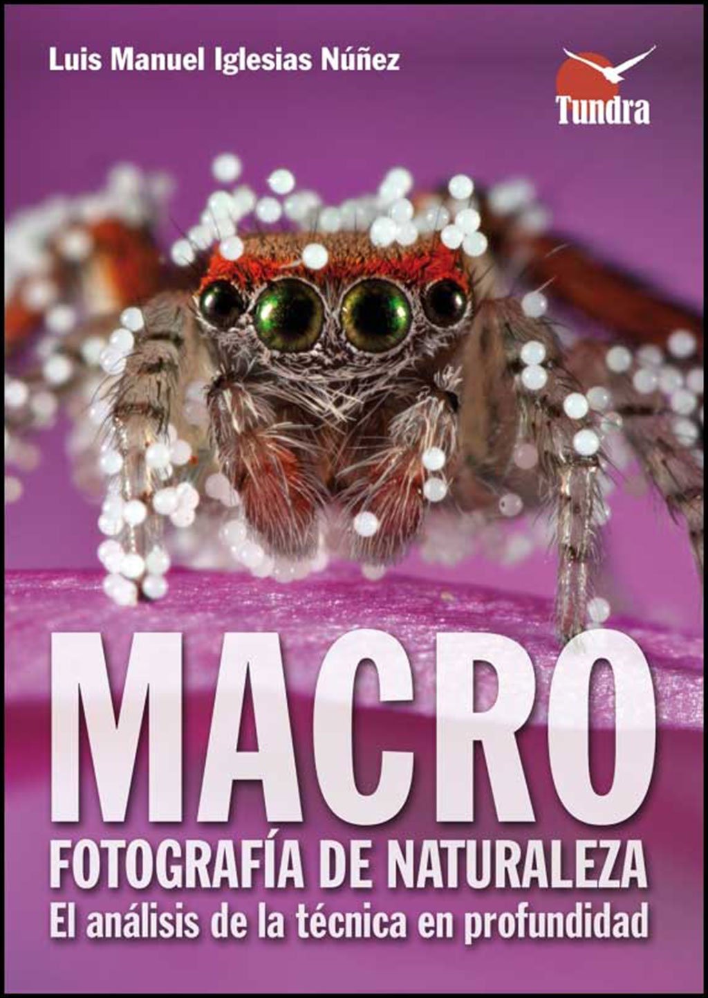 macrofotografa de naturaleza