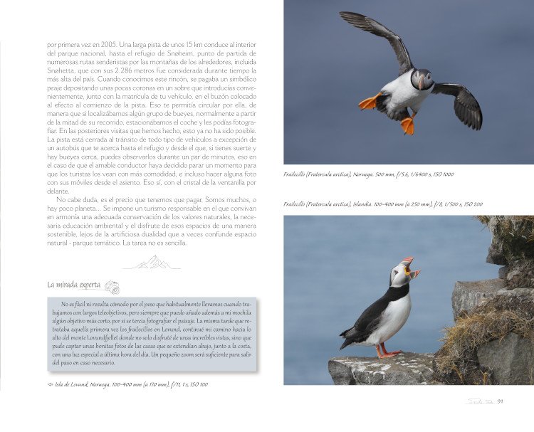 rumbo rtico. fotografiando la naturaleza en el crculo polar