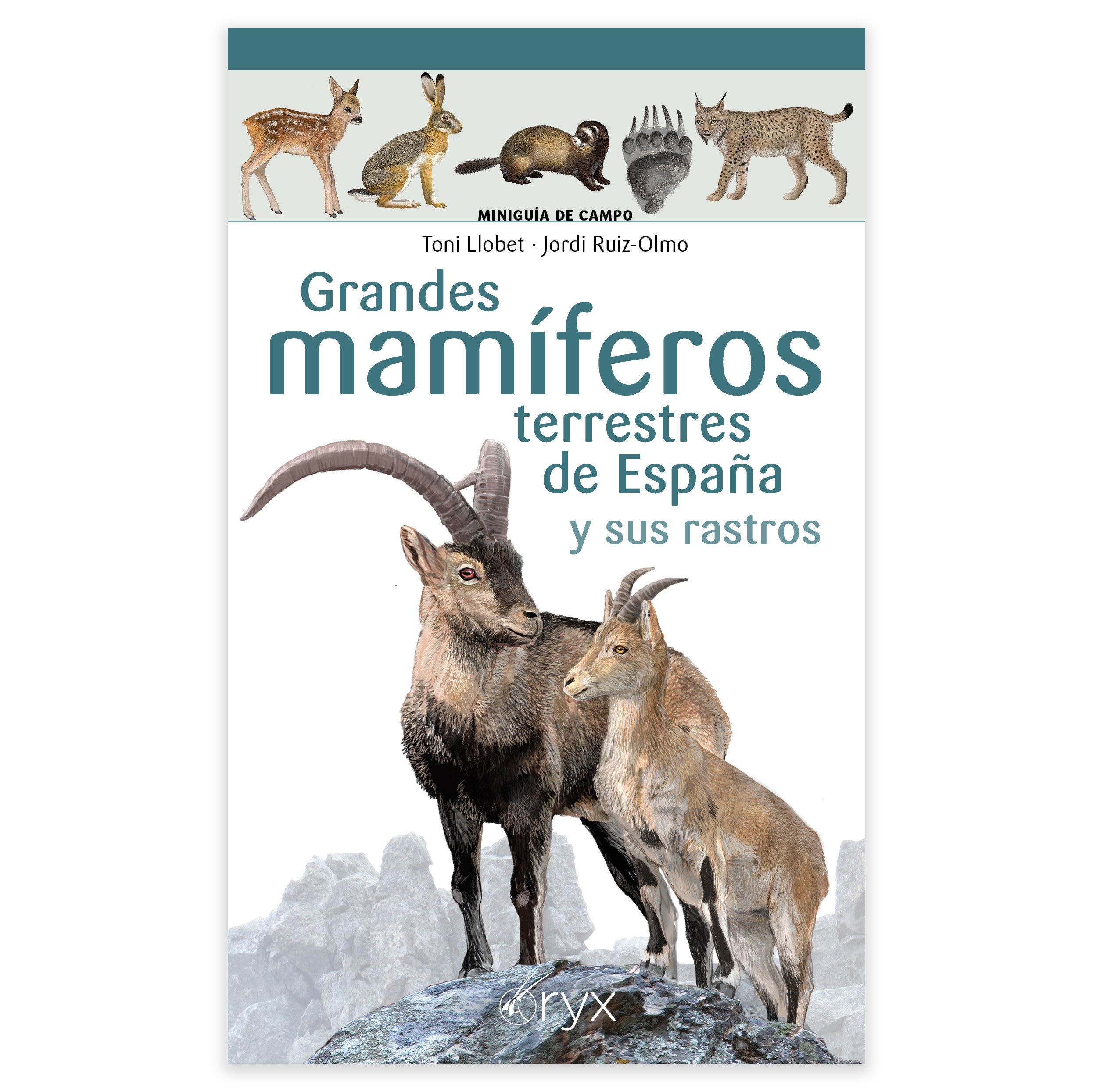 grandes mamferos terrestres de espaa y sus rastros. minigua de campo