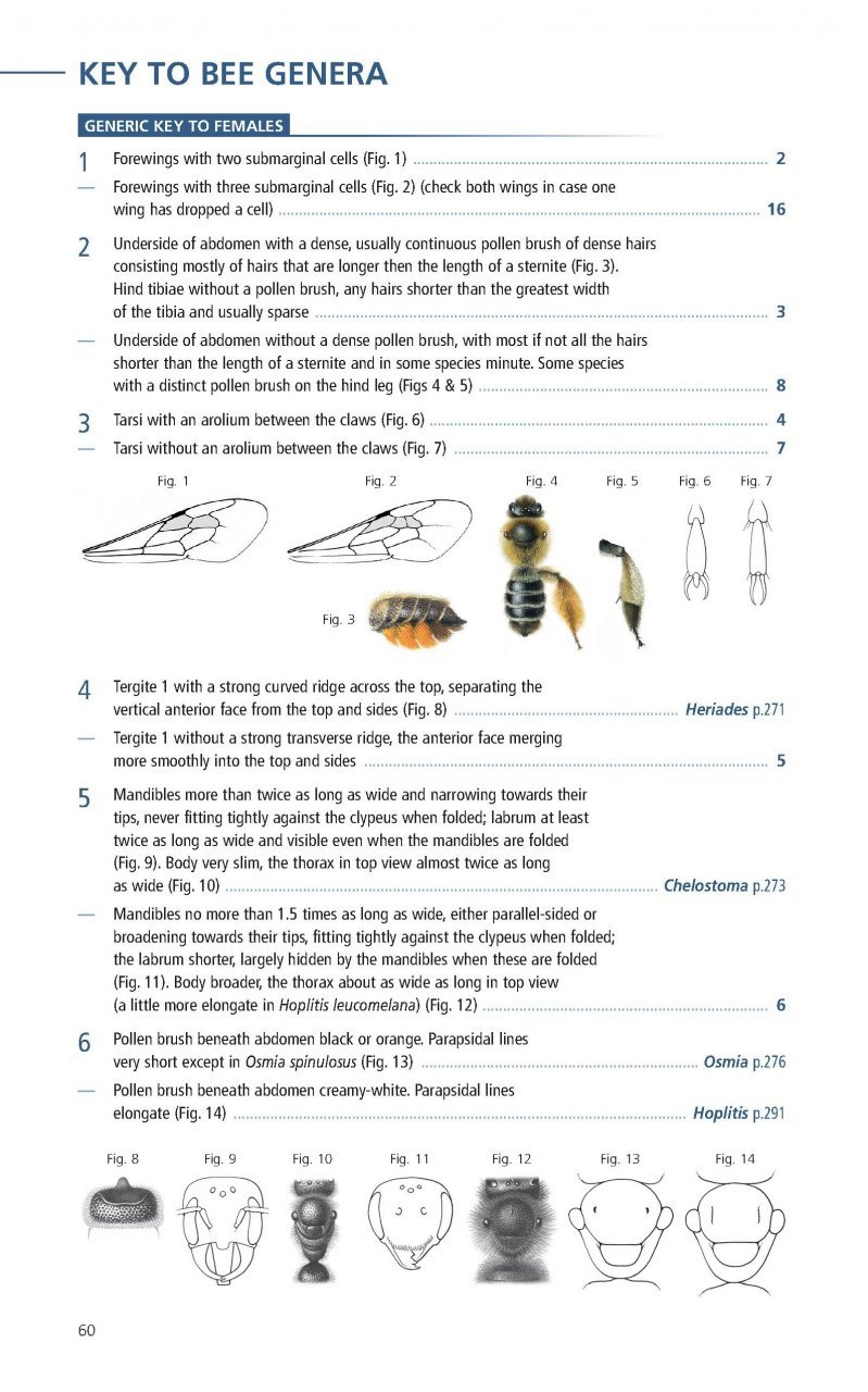 field guide to the bees of great britain and ireland