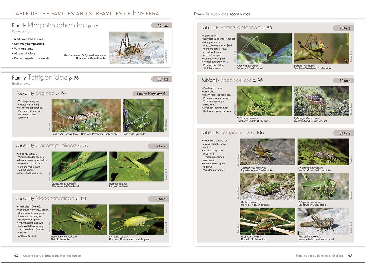grasshoppers of britain and western europe. a photographic guide