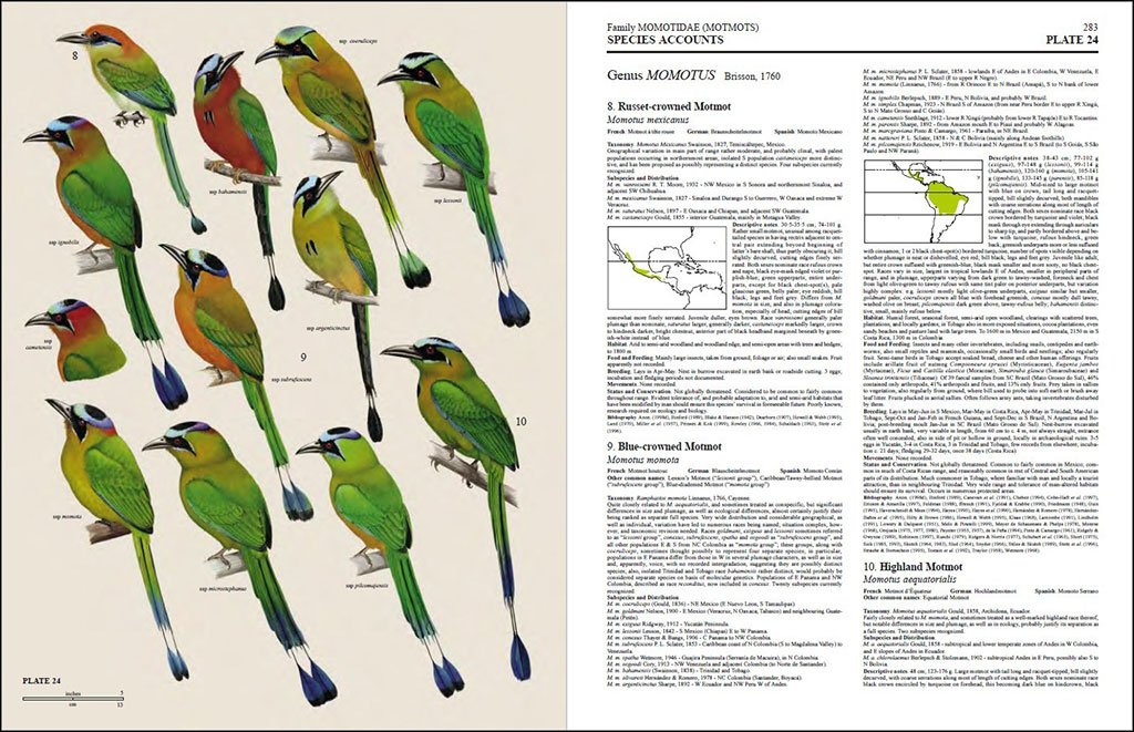 handbook of the birds of the world, vol. 6. mousebirds to hornbills