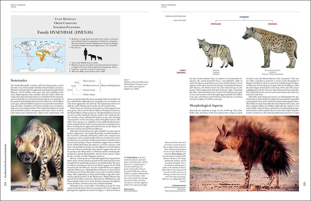 handbook of the mammals of the world. vol. 1 carnivores