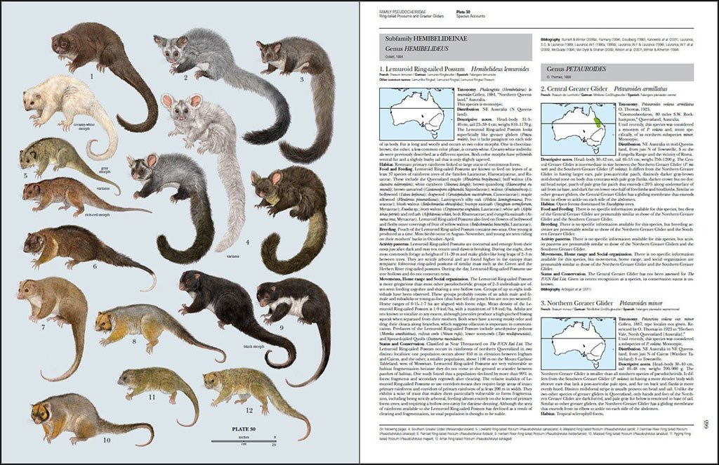 handbook of the mammals of the world. vol. 5 monotremes and marsupials