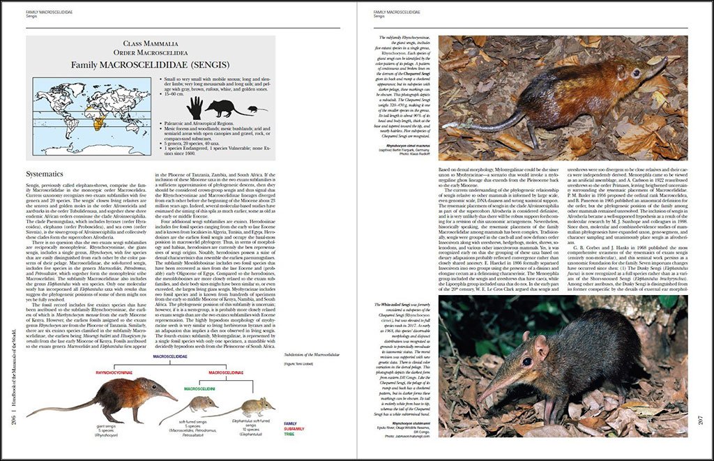 handbook of the mammals of the world. vol. 8 insectivores, sloths and colugos