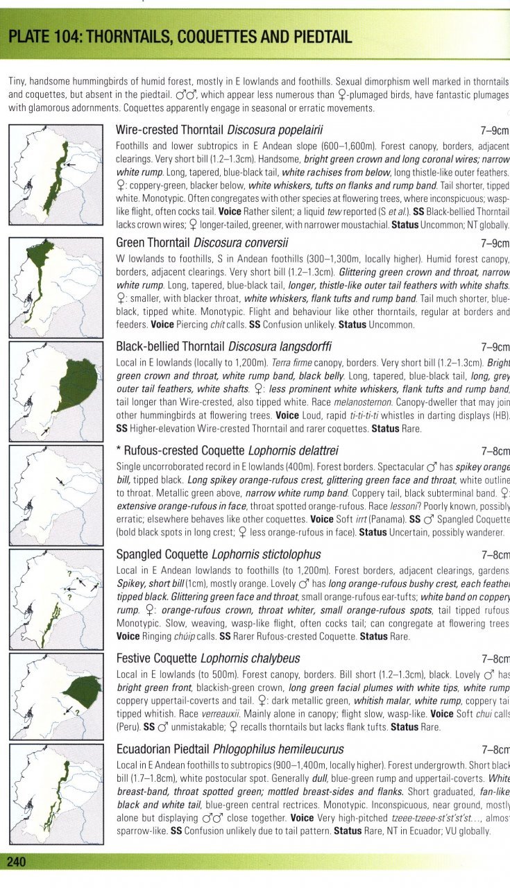 helm field guides. birds of ecuador
