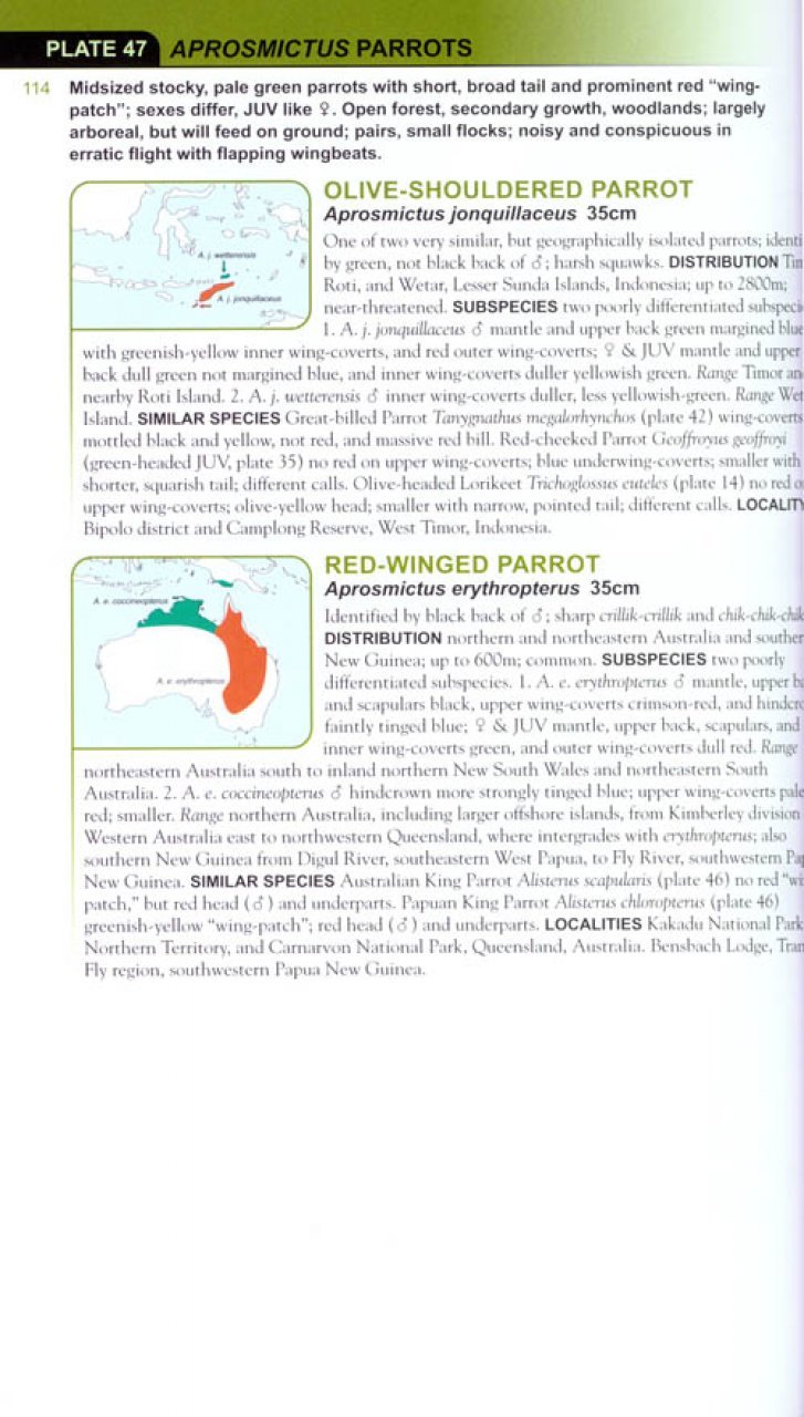 helm field guides. parrots of the world