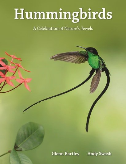 hummingbirds. a celebration of nature's jewels