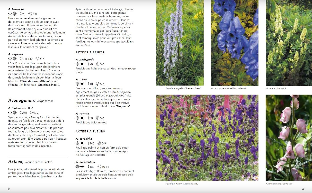 jardins naturalistes - les meilleures plantes vivaces