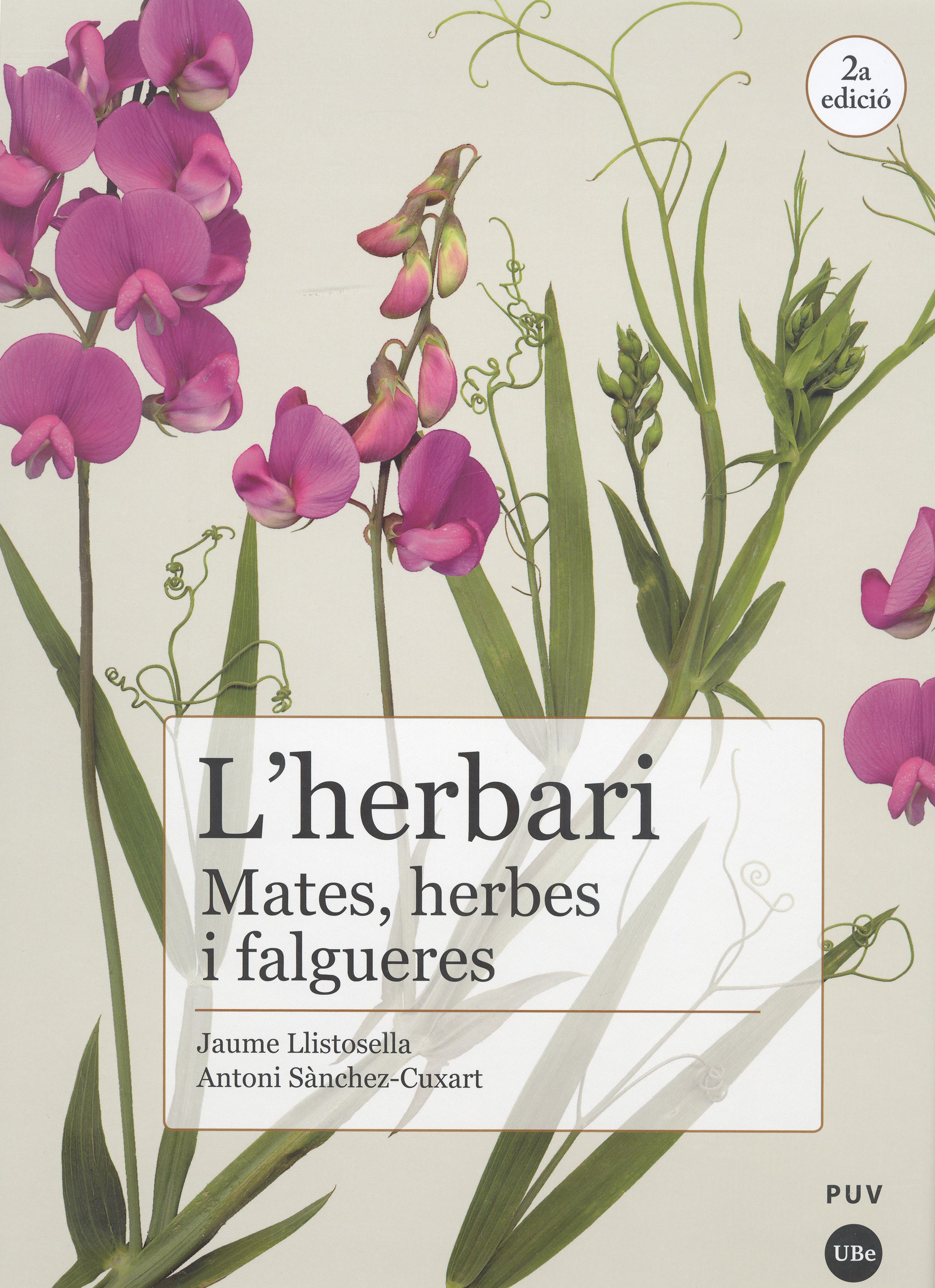 l'herbari, mates, herbes i falgueres