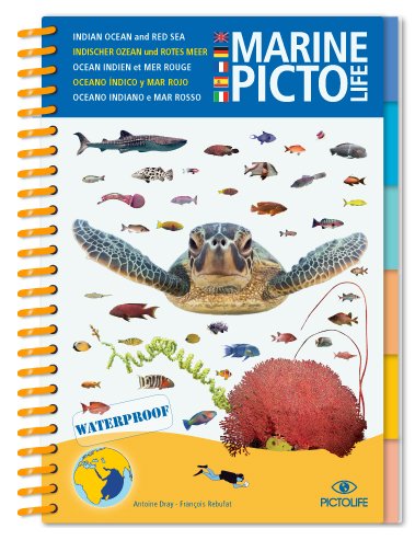 marine pictolife. indian ocean and red sea
