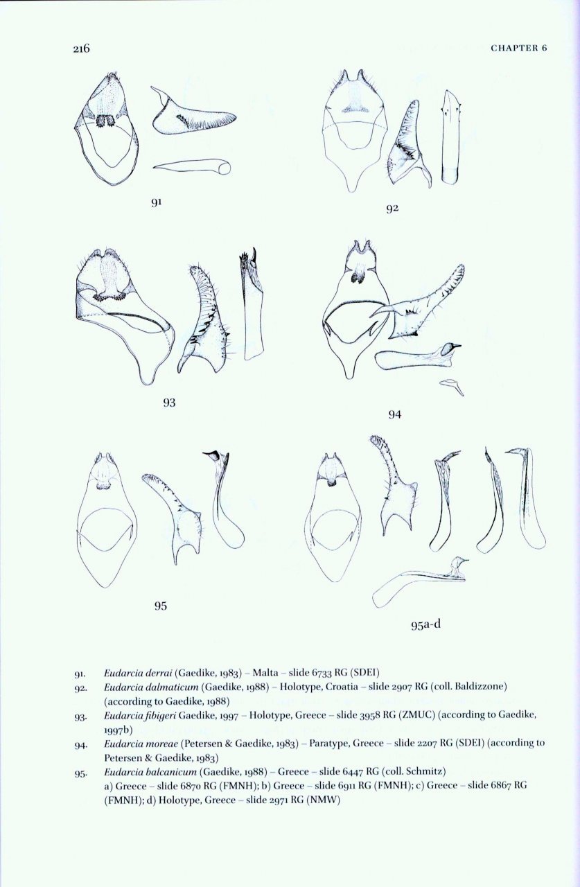 microlepidoptera of europe, volume 7 tineidae i (dryadaulinae, hapsiferinae, euplocaminae, scardiinae, nemapogoninae and meessiinae)