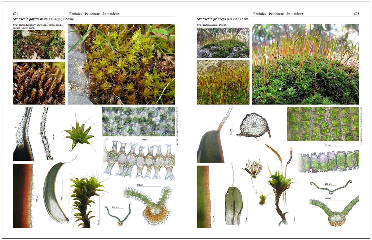 mosses of europe: a photographic flora 3 volume set