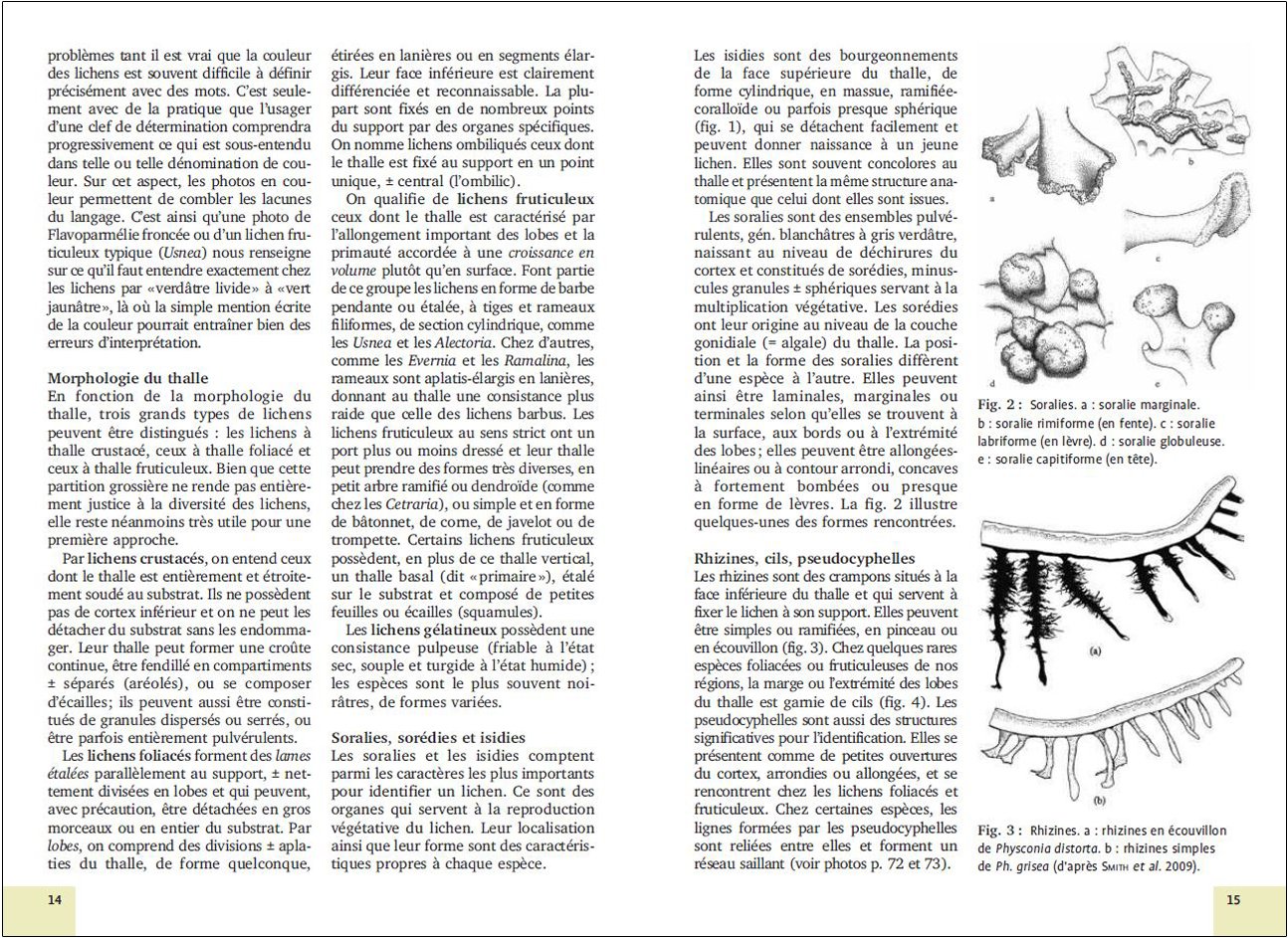 mousses et lichens. 290 especes faciles a identifier