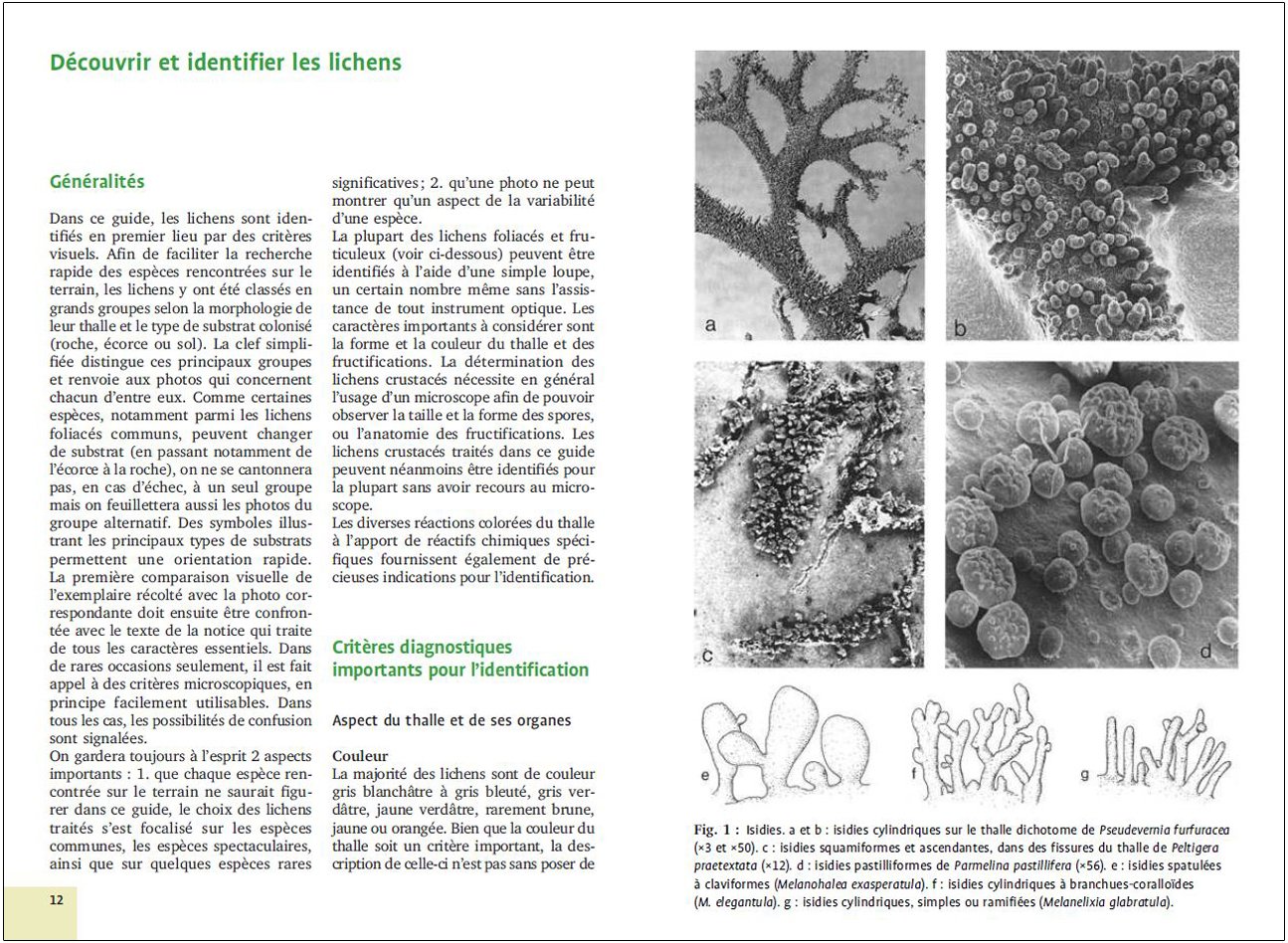 mousses et lichens. 290 especes faciles a identifier
