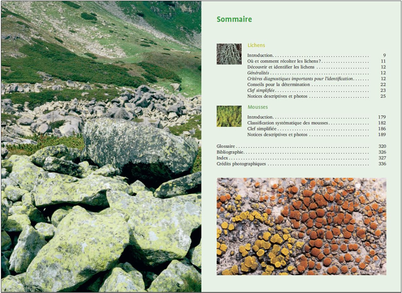 mousses et lichens. 290 especes faciles a identifier