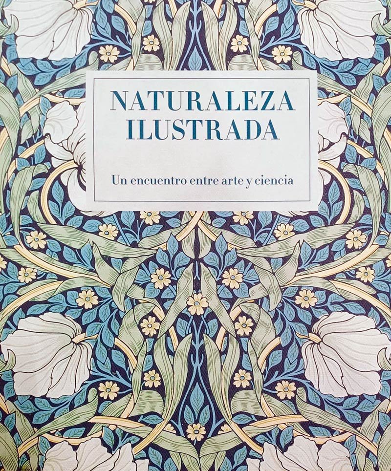 naturaleza ilustrada un encuentro entre arte y ciencia