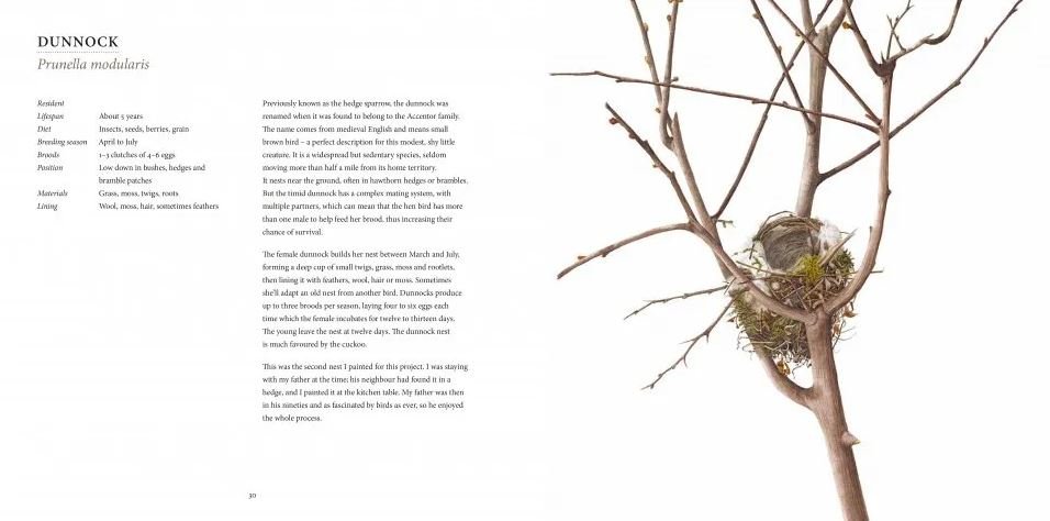nests