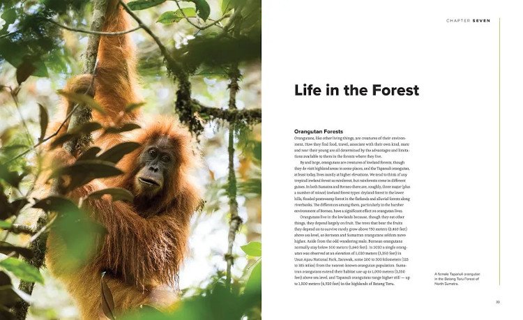 orangutans. their history, natural history and conservation