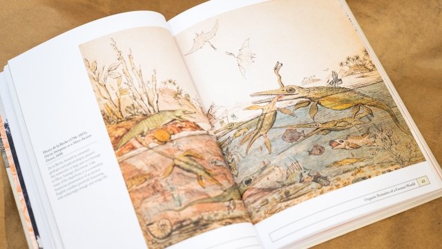 paleontology. an illustrated history