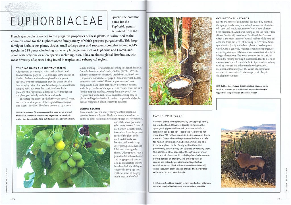 plants that kill. a natural history of the world's most poisonous plants
