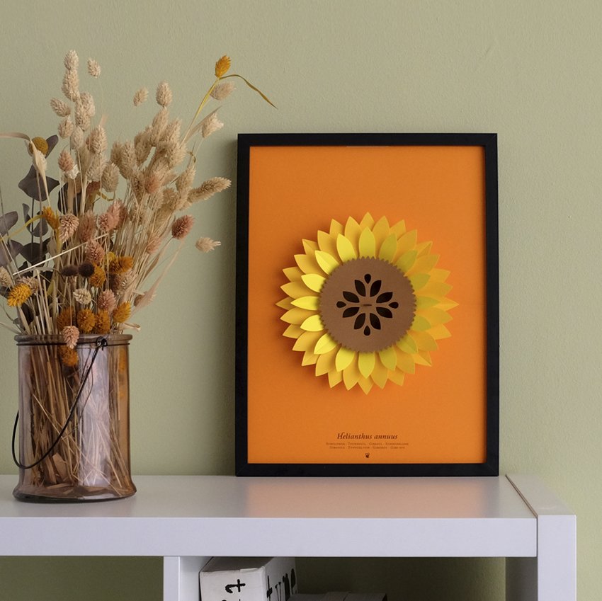 plego pop up helianthus annuus (girasol)