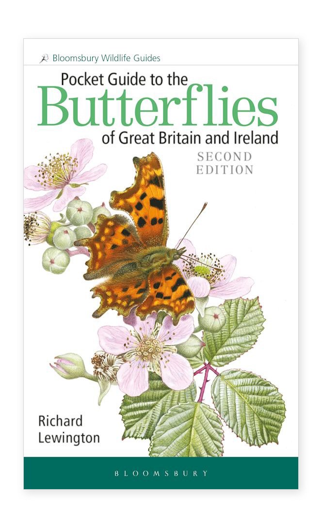 pocket guide to the butterflies of great britain and ireland
