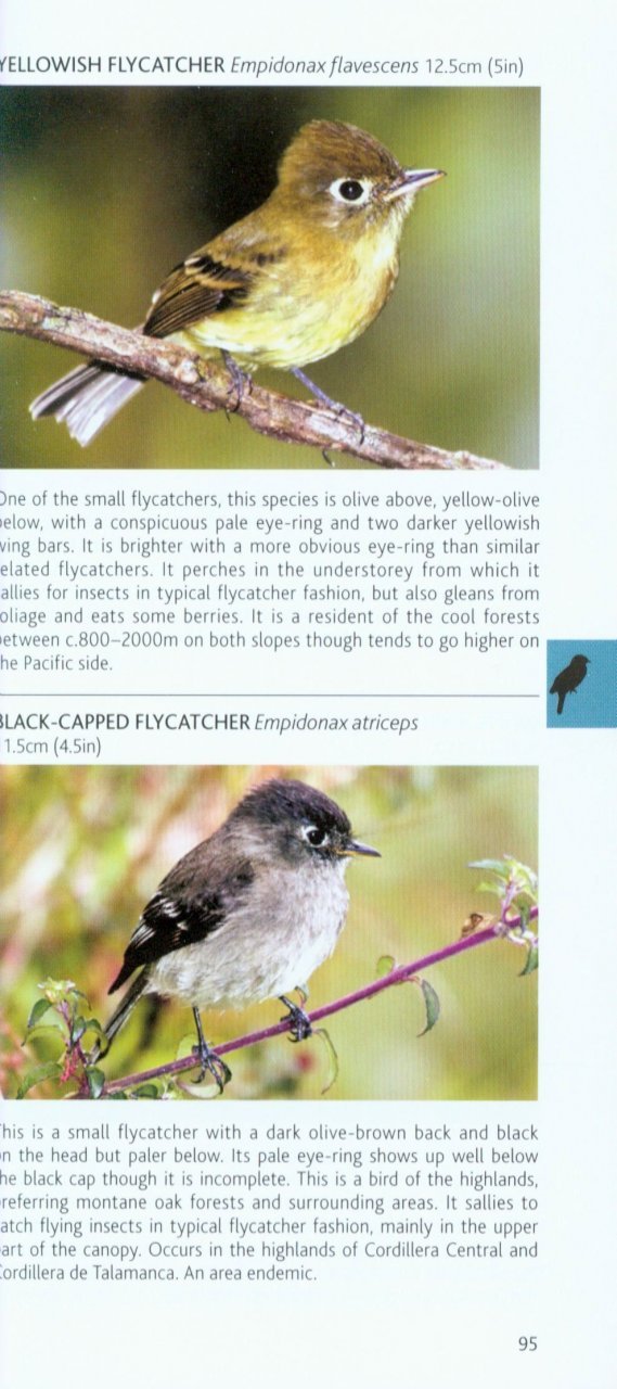 pocket photo guide to the birds of costa rica