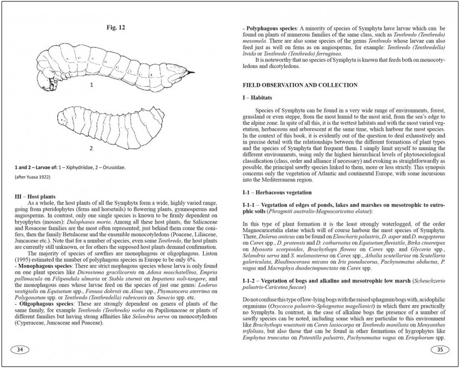sawflies of europe. hymenoptera of europe 2